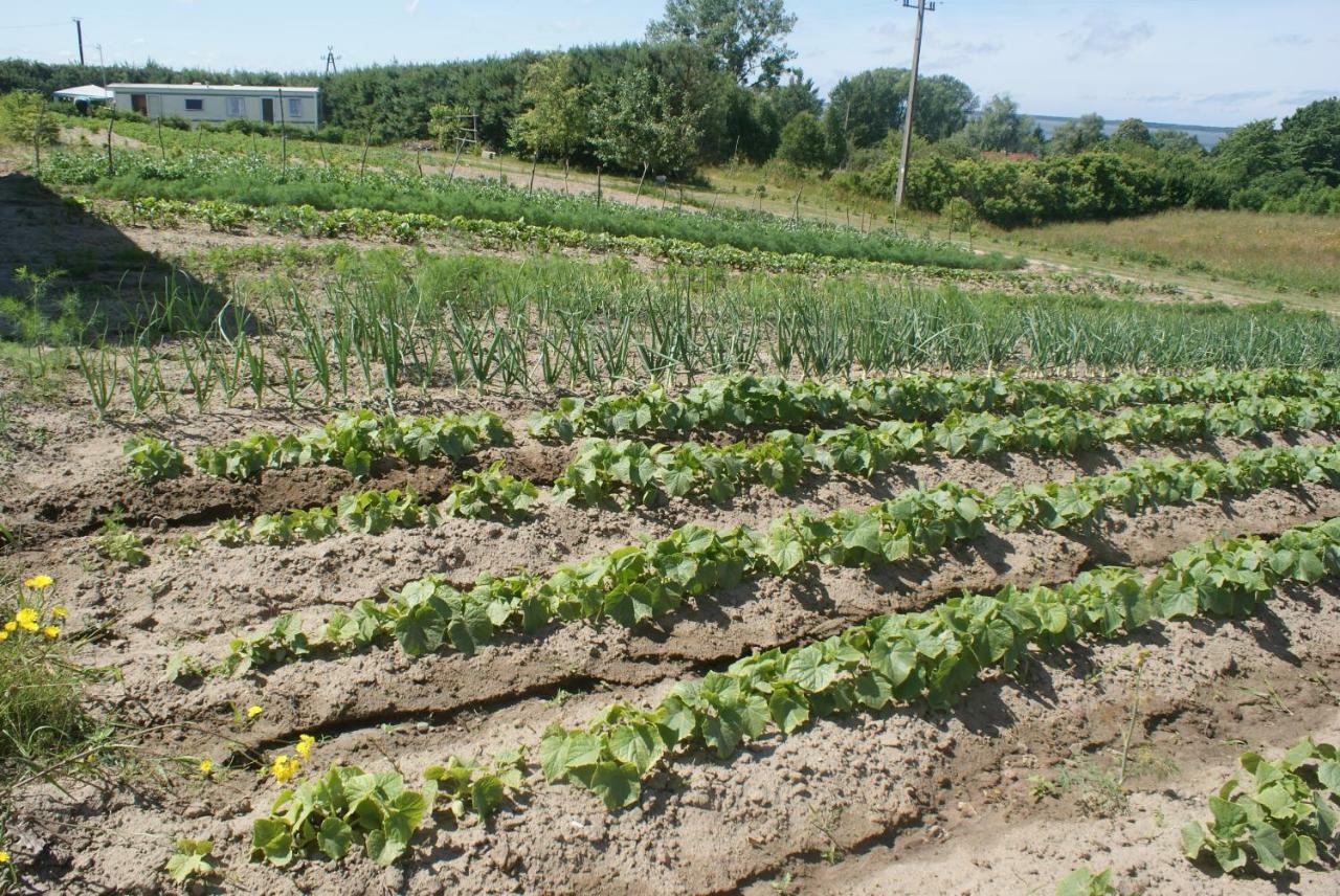 Agrodomki Okej -Dom Kasjan Gardna Wielka Luaran gambar