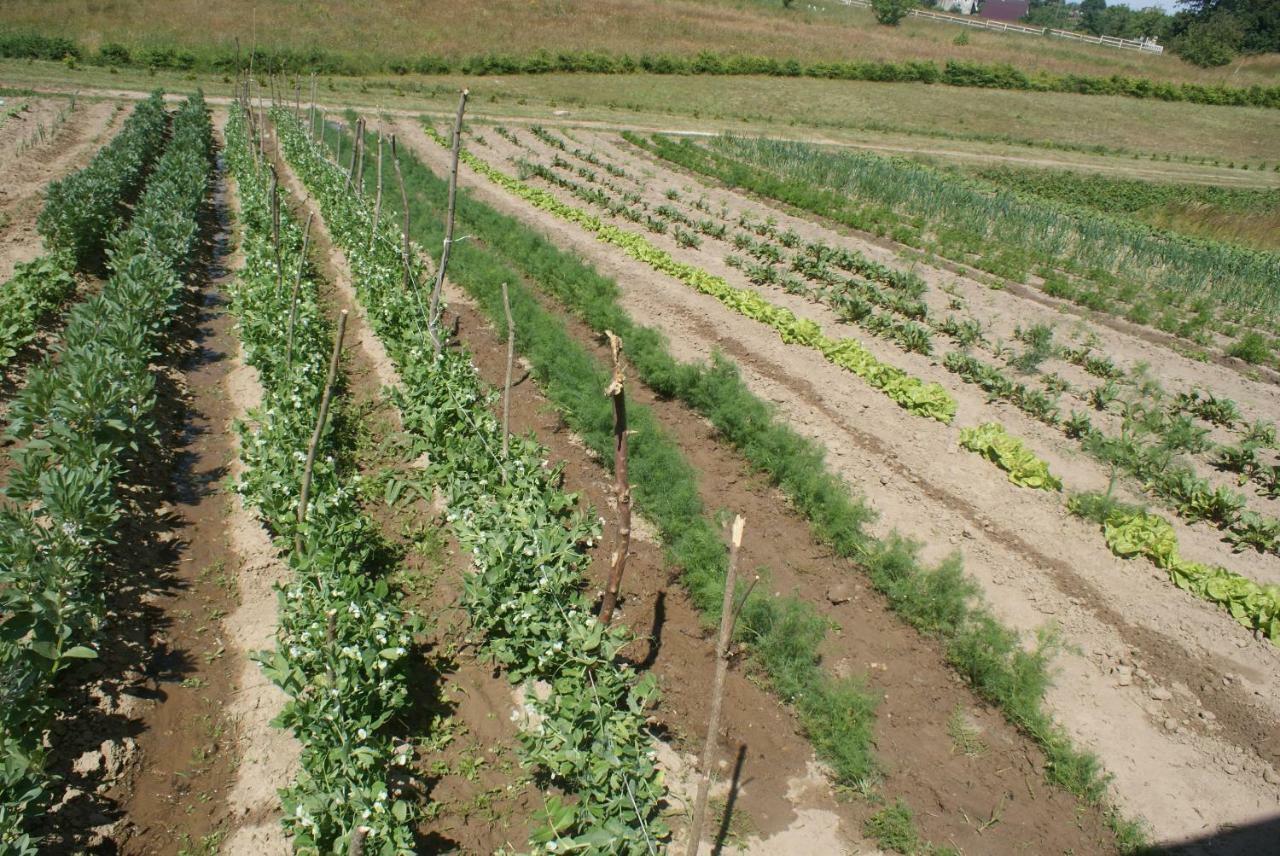 Agrodomki Okej -Dom Kasjan Gardna Wielka Luaran gambar